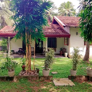bethany-homestay.negombohotels.net/